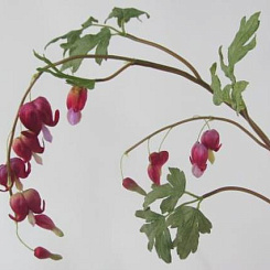 Разбитое сердце