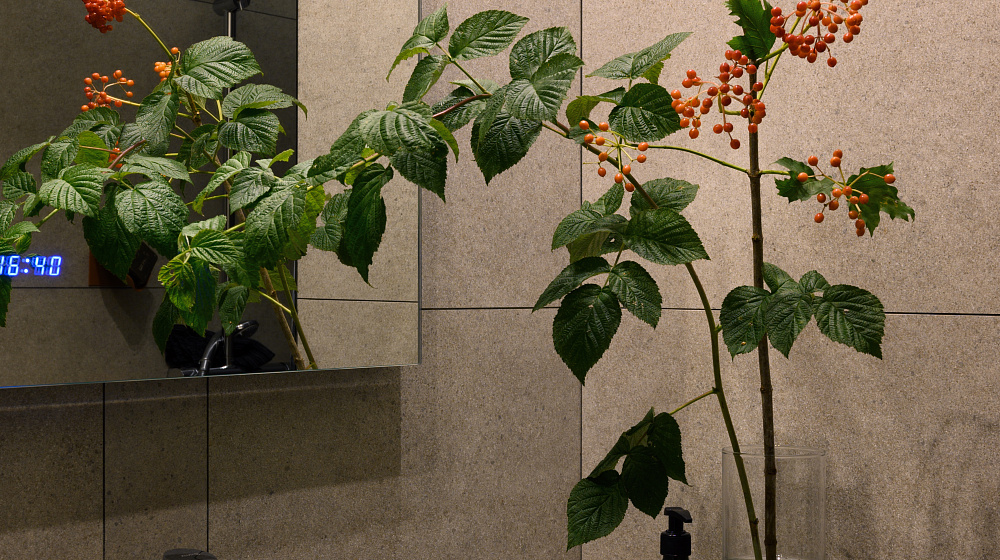 Частная квартира в Санкт-Петербурге на Моховой