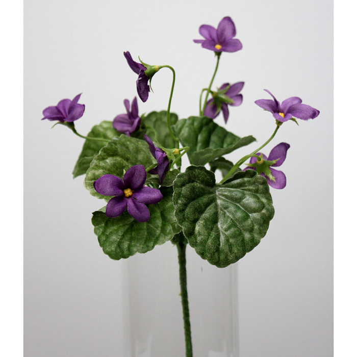 Петуния пурпурная кустовая