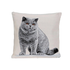 Наволочка "Британская короткошерстная кошка"