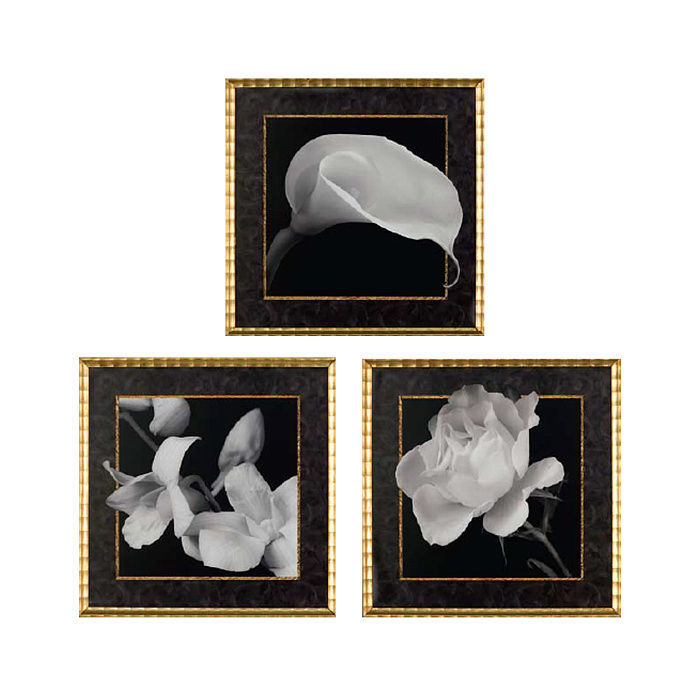 Картины "Черно-белая тайна"