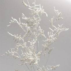 Ветка заснеженная