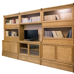 Книжный стеллаж с ТВ тумбой