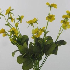 Анютины глазки желтые