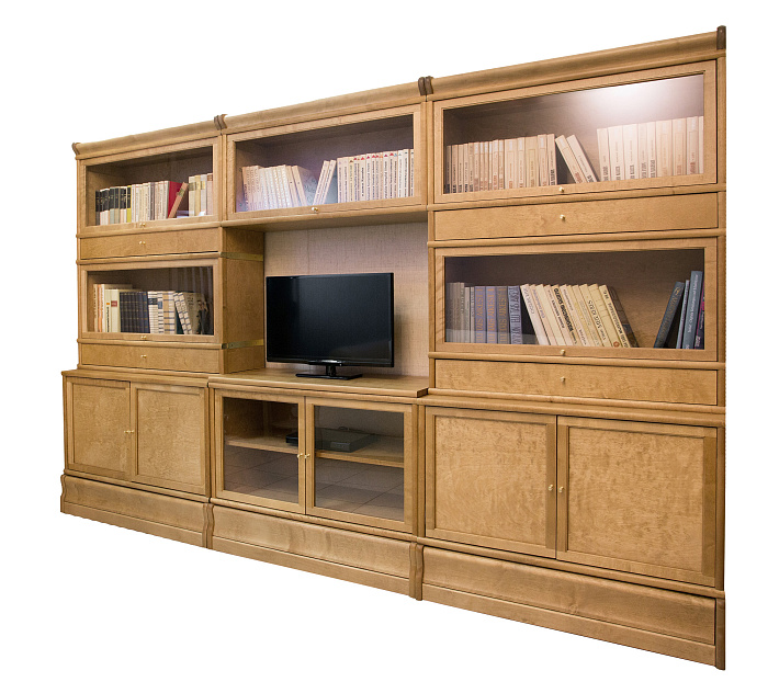 Книжный стеллаж с ТВ тумбой