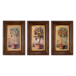 Картины "Плодовые деревья"