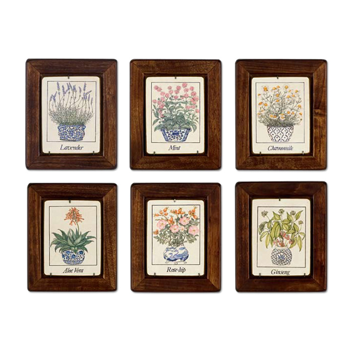 Картины "Травы"